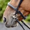 BR072 - Lynton Snaffle Bridle with 2 browbands